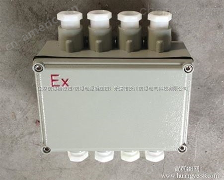 BJX51-20/8（IIB）防爆接线箱-IIC不锈钢防爆接线箱